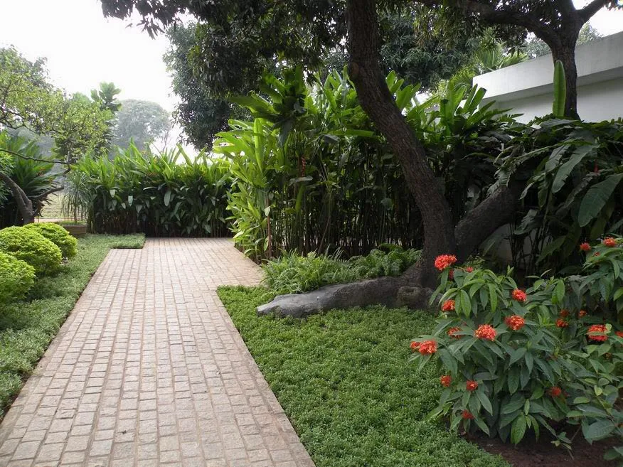 Pune House
