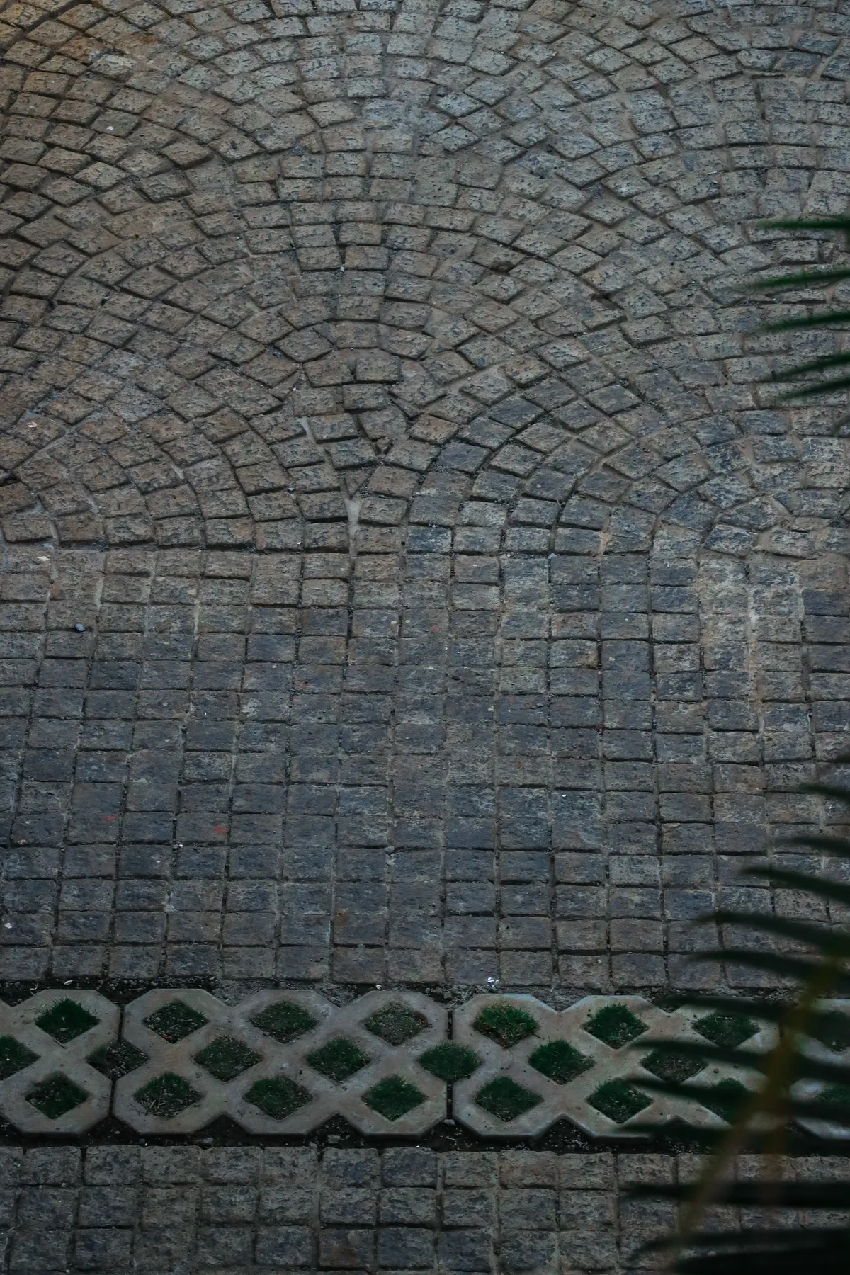 Ronak Anand Terrace — Atelier Landschaft